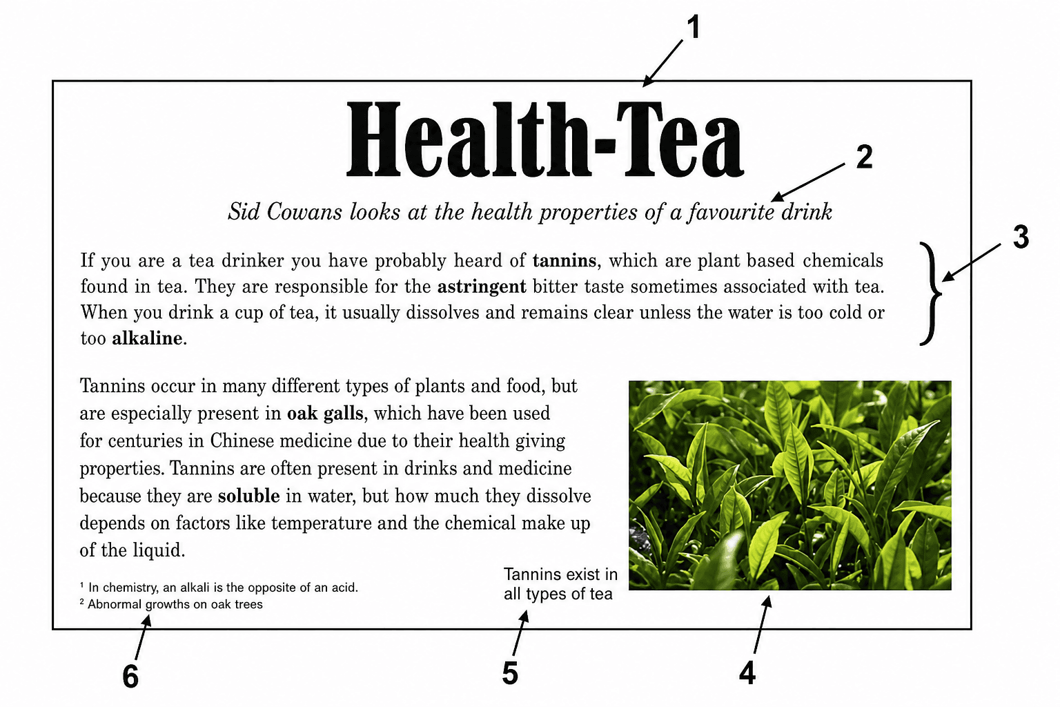 Worksheet-style Health-Tea reading passage with numbered feature labels